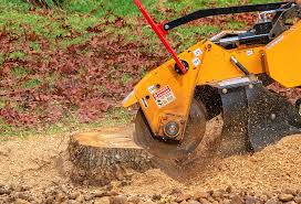 Best Aeration Services  in Tioga, TX